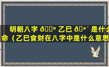 明朝八字 🌺 乙巳 🪴 是什么命（乙巳食财在八字中是什么意思）